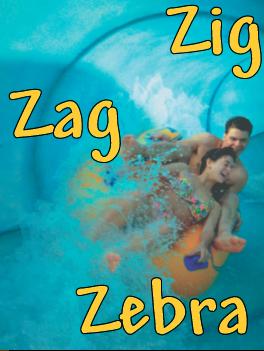 Zig Zag Zebra
